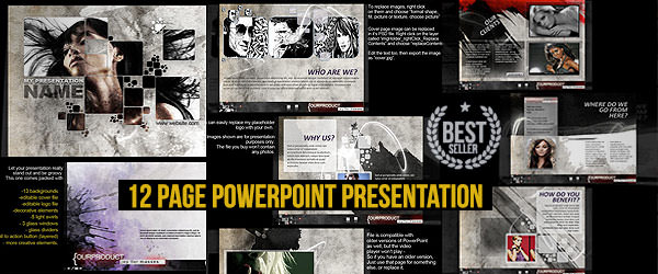 14 Page Powerpoint Presentation  - 181